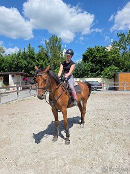 VALACH NA SPORT / HOBBY / RODINNÝ PARŤÁK - 2