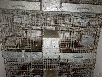 Klietky pre hlodavce - 2