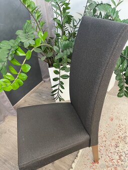 Jedálenské stoličky - 2