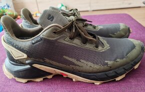 SALOMON ALPHACROSS 4 GTX
- 2