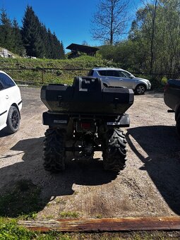 Yamaha grizzly - 2