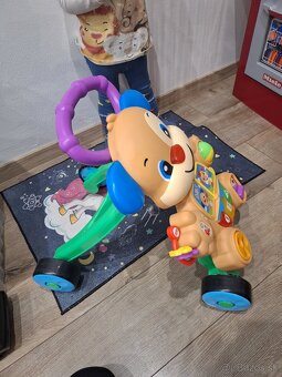 Chodítko fisher - 2