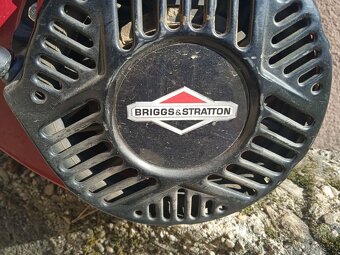 Briggs Stratton - 2