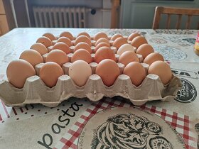 Domáce vajíčka - 2