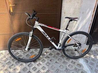 Horský bicykel - AMULET 29” - 2
