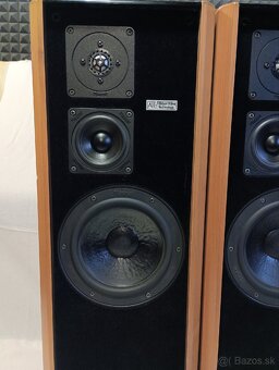 MAGNAT  MSP 110 - 2