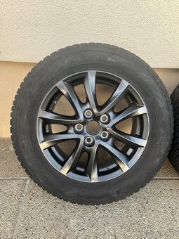 Zimna sada MAZDA R16 - 2