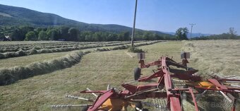 Seno na predaj - 2