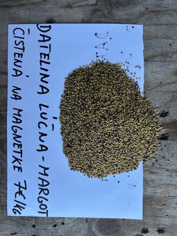 Lucerka osivo,datelina lucna,facelia - 2