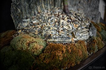 Bonsai Krajinka v miske 78x38cm, Vlastná produkcia - 2