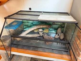 Terarium - 2