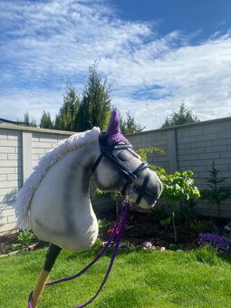 Hobbyhorse - 2