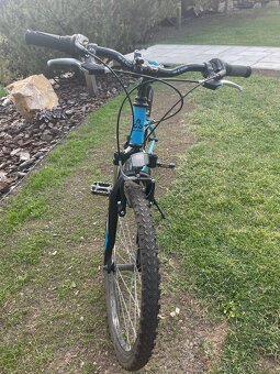 Bicykel CTM Berry 2.0 - 2