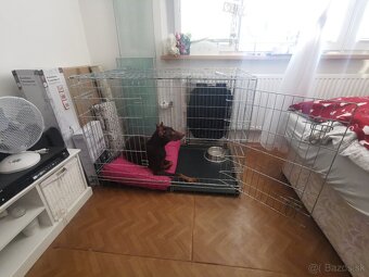 Predam Trixie klietku pre psy - 2
