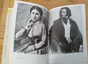 Bedřich Smetana (autor: Karel Vladimír Burian) - 2