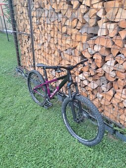 Ctm raptor 1.0 2022 - 2