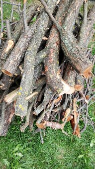 drevo na kúrenie - 2