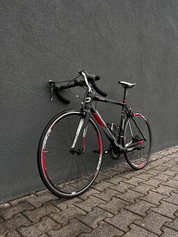Carbon DEMA Corsa 6.0 - 2