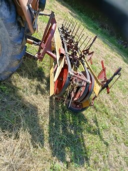 Pasova hrabacka - 2