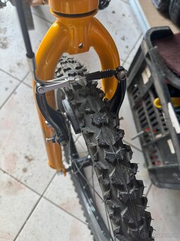 Bicykel BH expert - 2