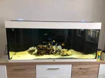 Akvarium Juwel Rio 240 LED biele - 2
