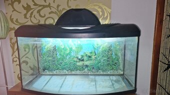 Akvárium 120l - 2