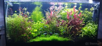 Predám ,rozpredám akvarium - 2