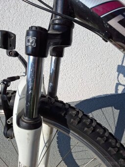 bicykel DEMA ISEO 3.0 - 2