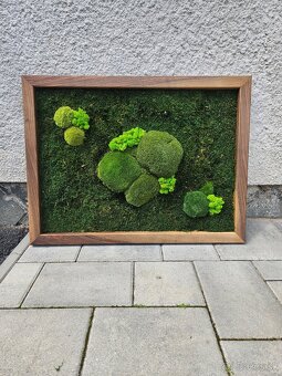 Machovy obraz 80x60cm - 2