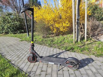 XIAOMI Mi Electric Scooter Pro Black BAL | 21886 - 2