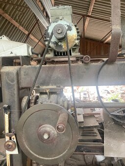 Kmenova pasová pyla - 2