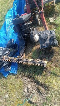 tera variplus zacia lista - 2