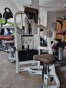 BRUCHO STROJ - CYBEX - 2