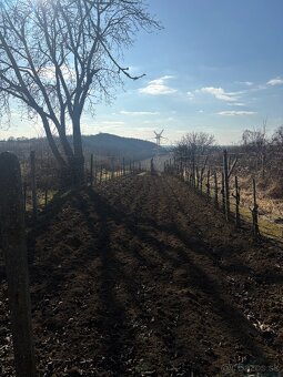 PREDAJ, PODLUŽANY - VINIČNÝ DOMČEK S VINOHRADOM - 2