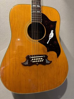 Ibanez Concord 12 strunová Gitara - 2