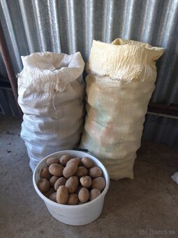 Zemiaky - 2