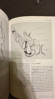 Chirurgia pre medikov- predám - 2