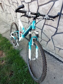 Cannondale - 2