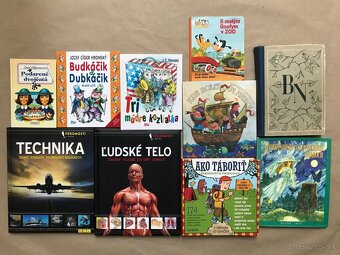 Medzi nami dievčatami, Božena Němcová: Babička, Goofy - 2
