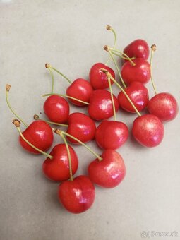 Čerešne srdcovky - 2