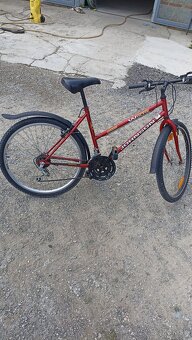 Dámsky bicykel - 2
