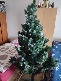 Predám vianočný stromček - 2