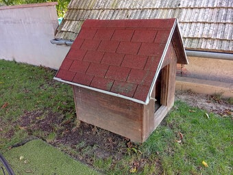 Búda pre psa - 2