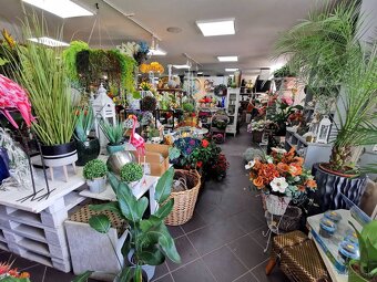 Záhradné centrum na  prenájom, 1800m2, Snina - 2