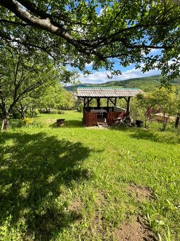 Ponúkam na predaj záhradu s drevenou chatkou a dreveným altá - 2