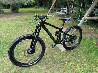 Trek Remedy 9.8 2022 Carbon - 2