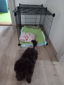 Klietka modulovacia - 2