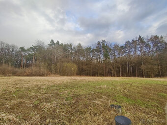 Výnimočný pozemok pod lesom, Malá Ida (Panský les), 595m2 - 2