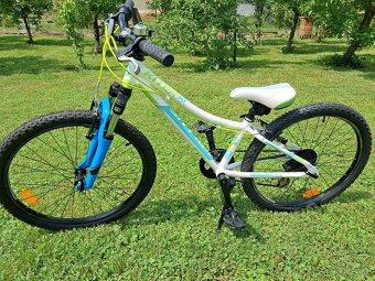 Kellys KITTER 30 - 2