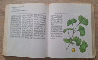 Atlas liečivých rastlín - 2